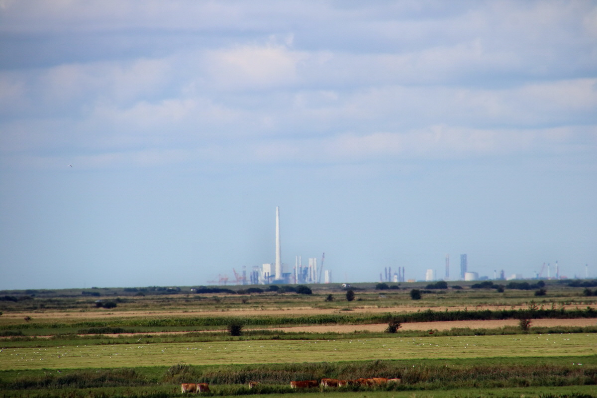 2015_09_10_015088p_Bildgr��e �ndern