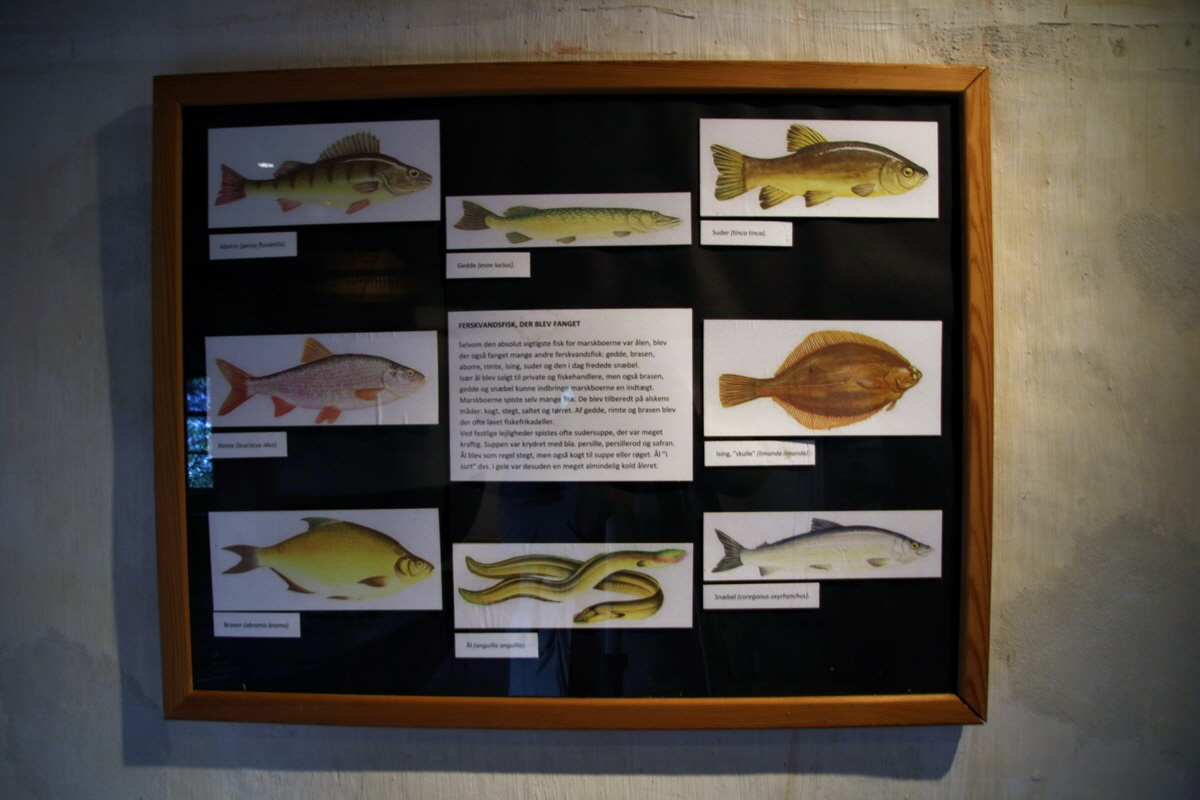 2015_09_11_015175p_Bildgr��e �ndern