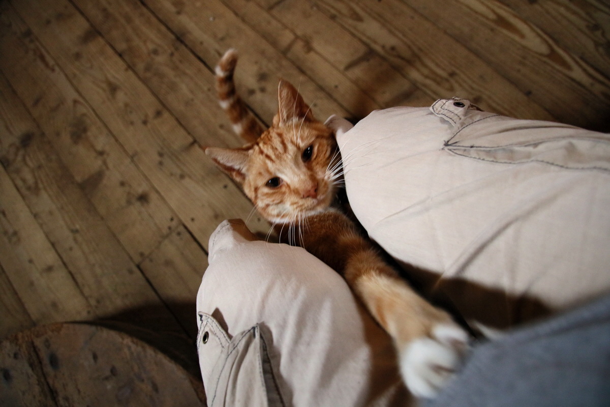 2015_09_11_015307p_Bildgr��e �ndern