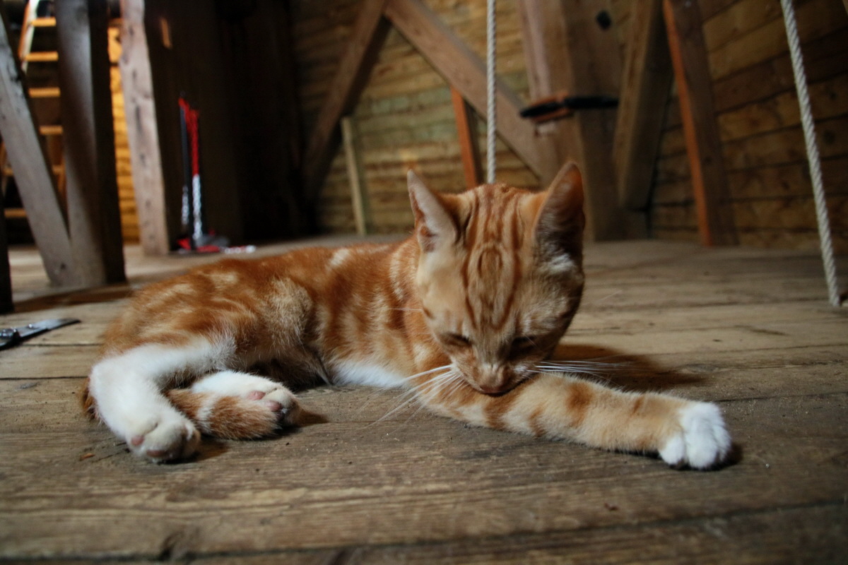 2015_09_11_015312p_Bildgr��e �ndern