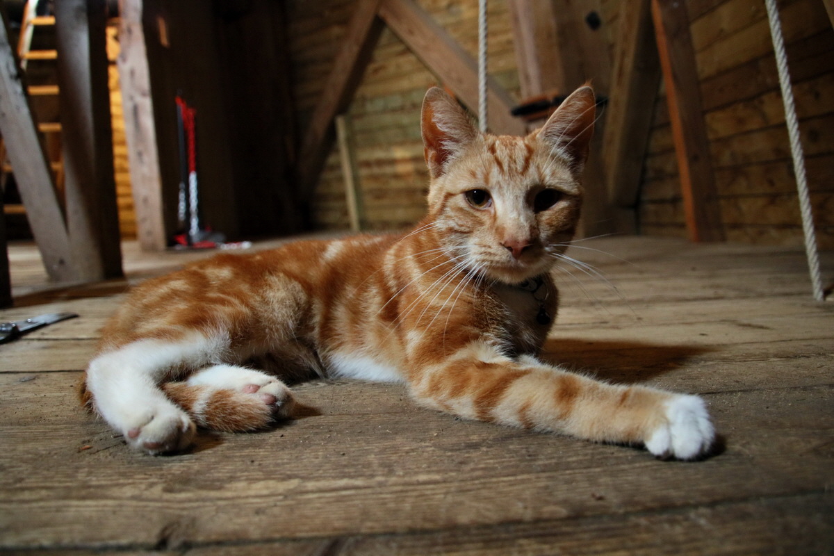 2015_09_11_015318p_Bildgr��e �ndern