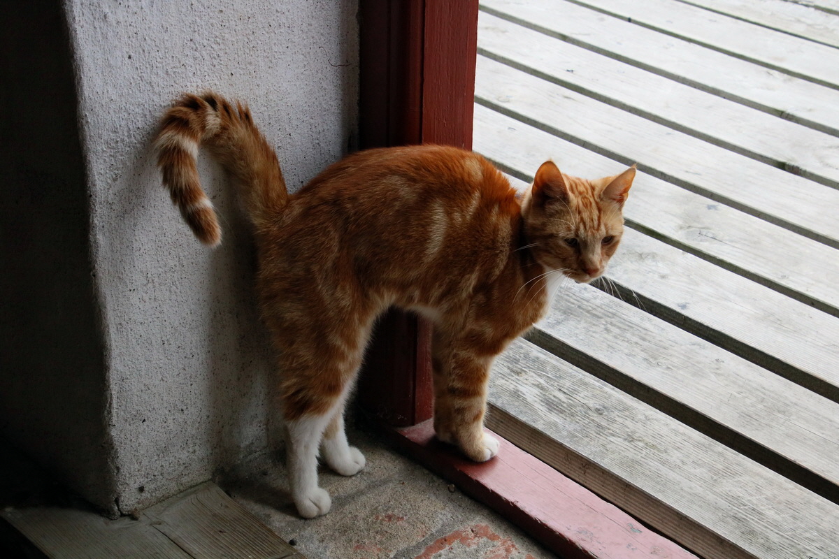 2015_09_11_015352p_Bildgr��e �ndern