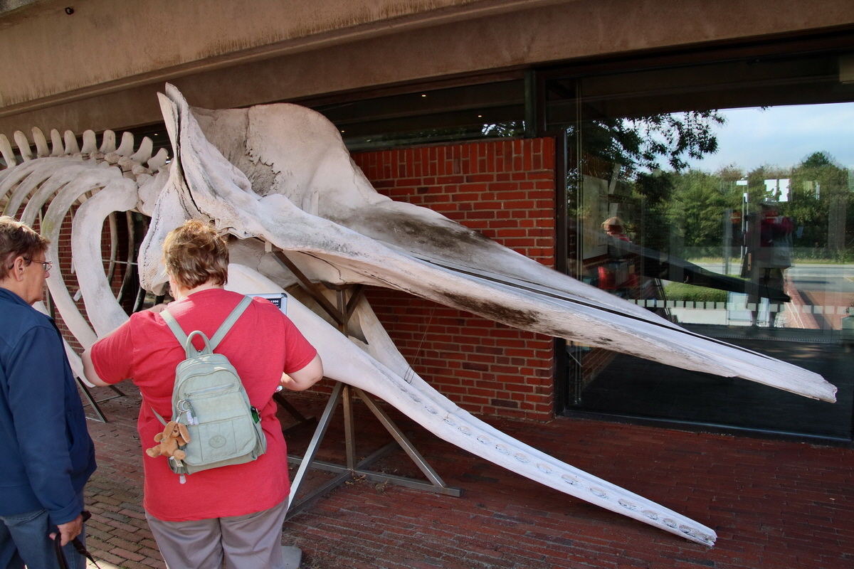 2015_09_12_015791p_Bildgr��e �ndern