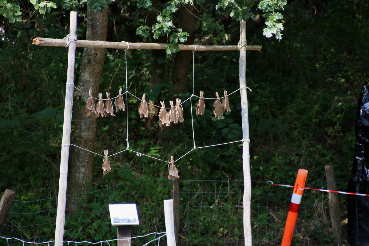 2015_09_12_015821p_Bildgr��e �ndern