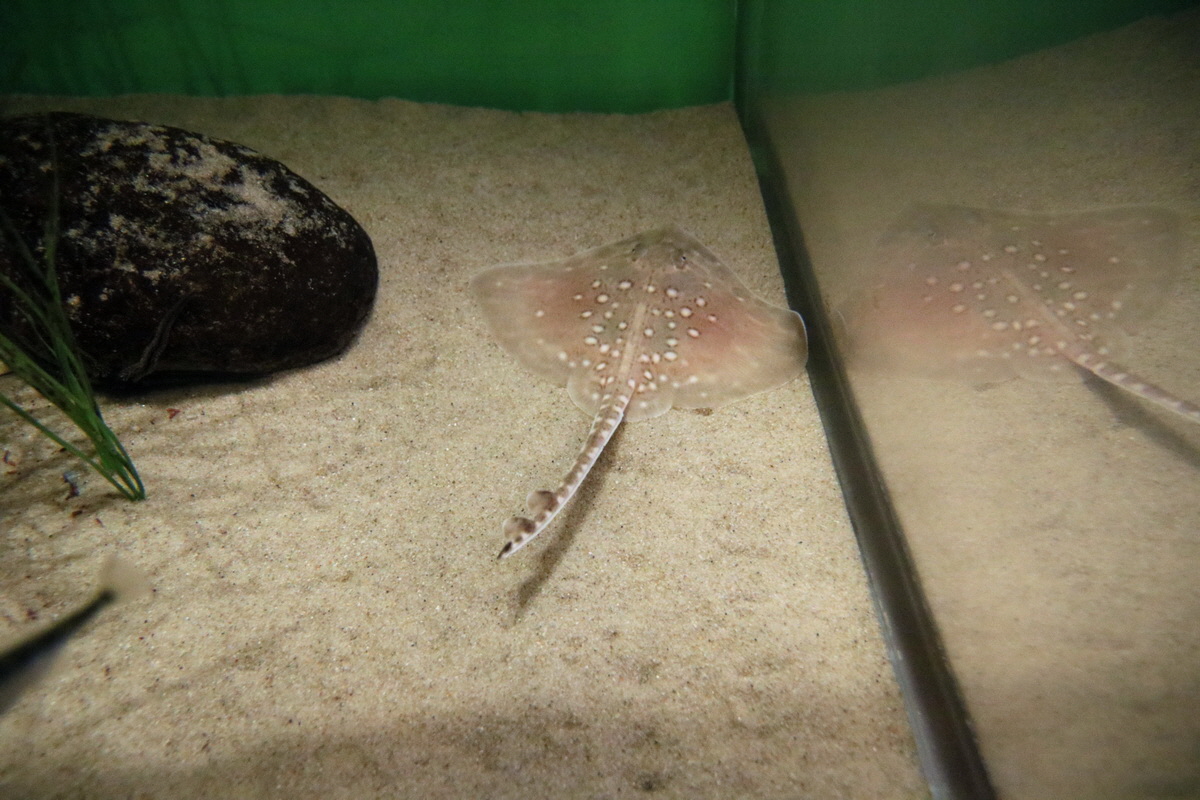 2015_09_12_015830p_Bildgr��e �ndern