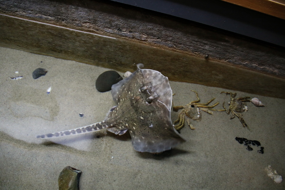 2015_09_12_015831p_Bildgr��e �ndern