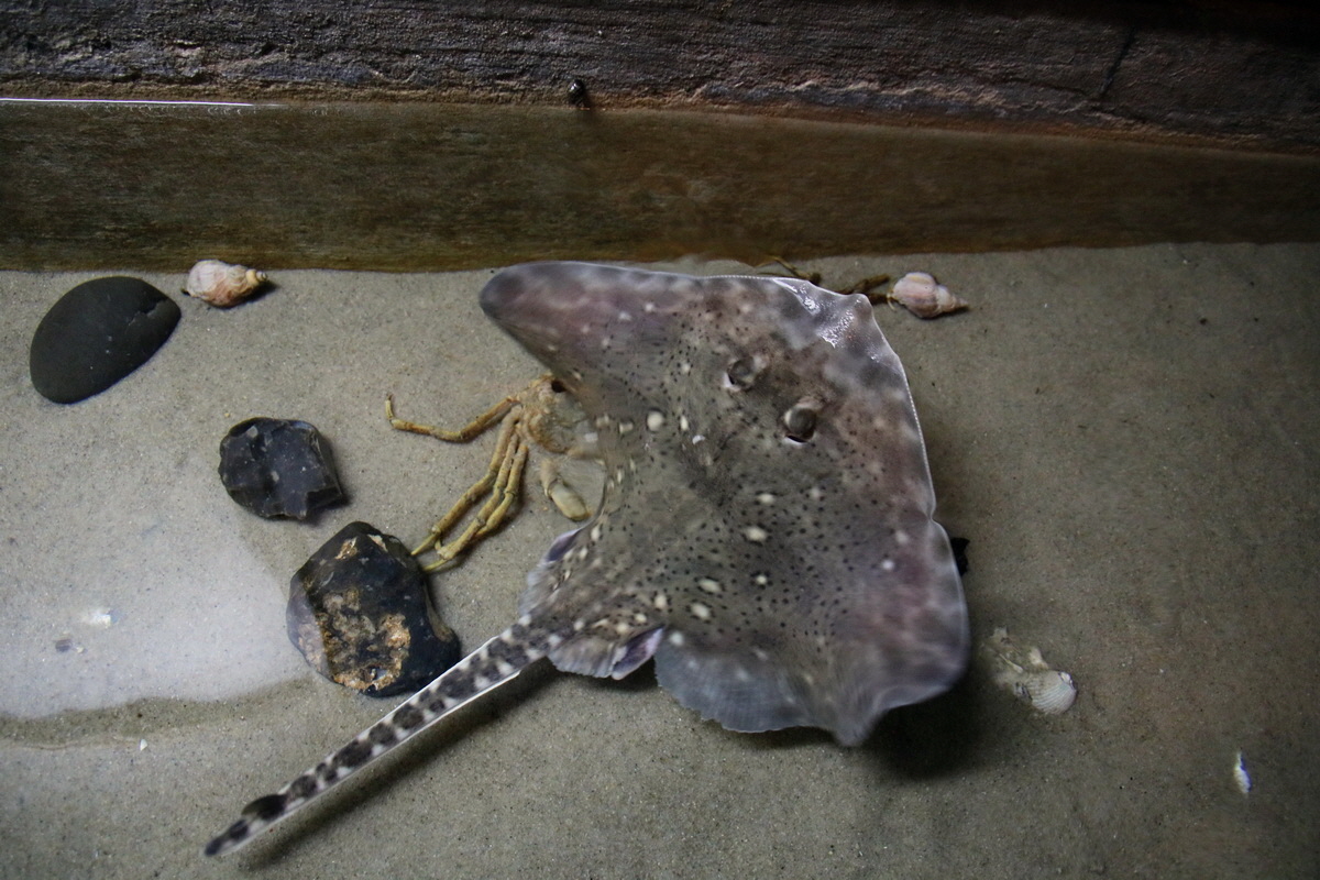 2015_09_12_015851p_Bildgr��e �ndern