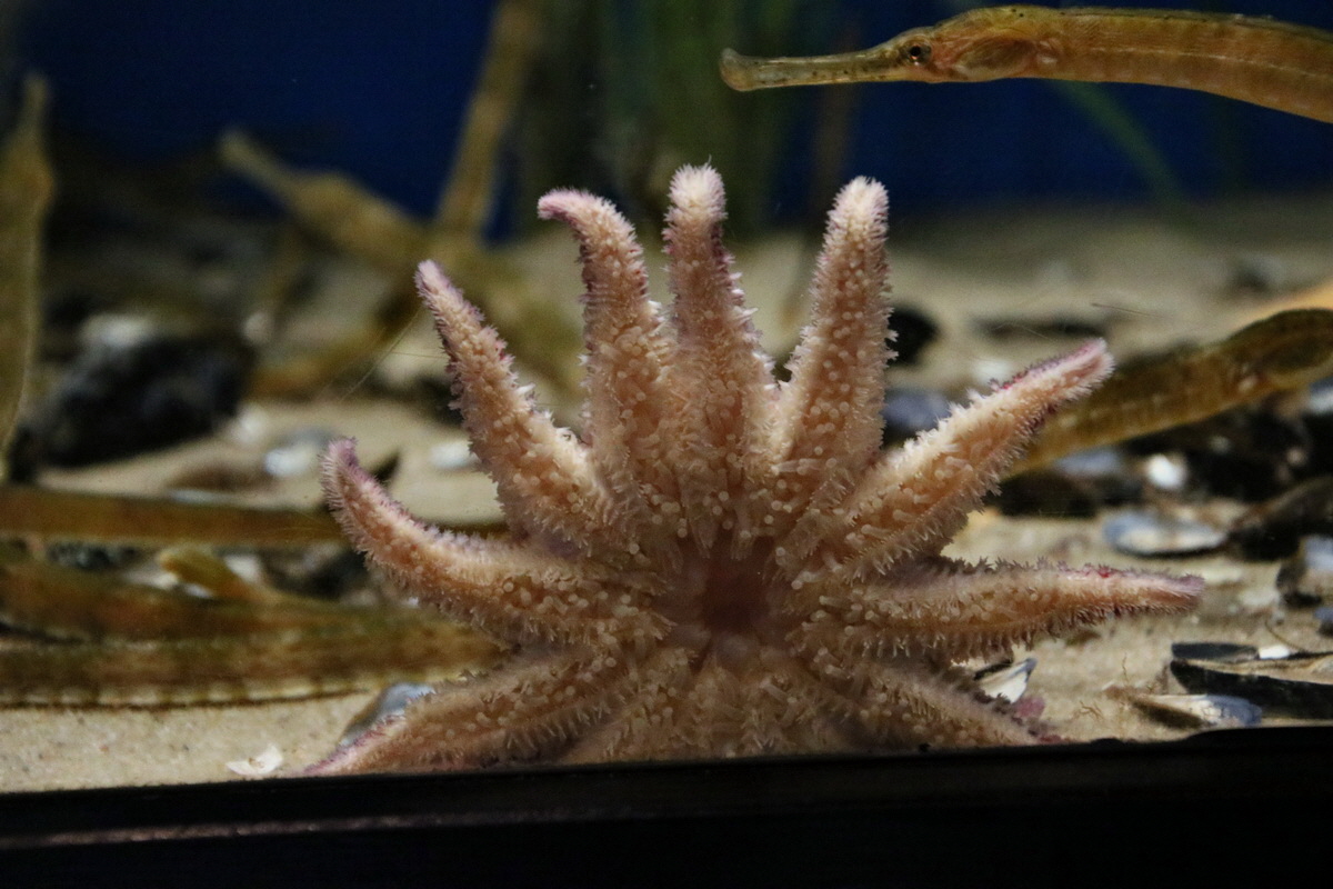 2015_09_12_015855p_Bildgr��e �ndern