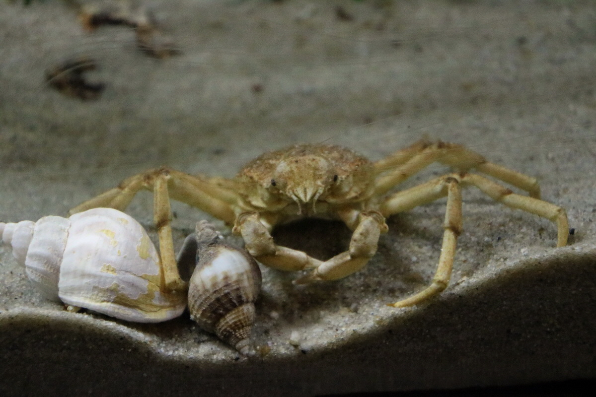 2015_09_12_015862p_Bildgr��e �ndern