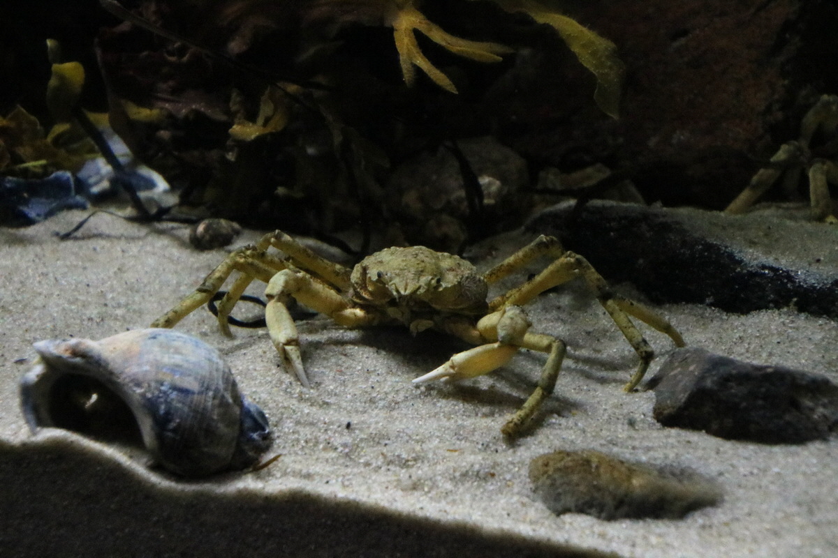 2015_09_12_015864p_Bildgr��e �ndern