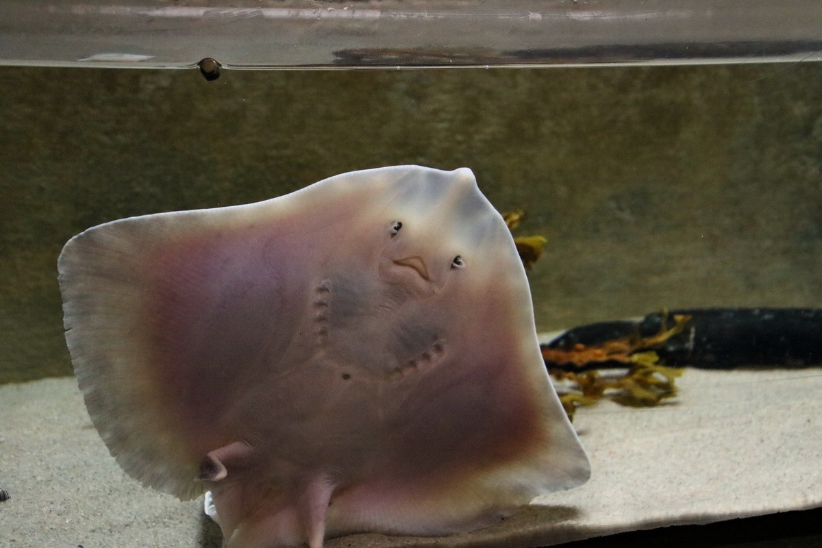 2015_09_12_015867p_Bildgr��e �ndern