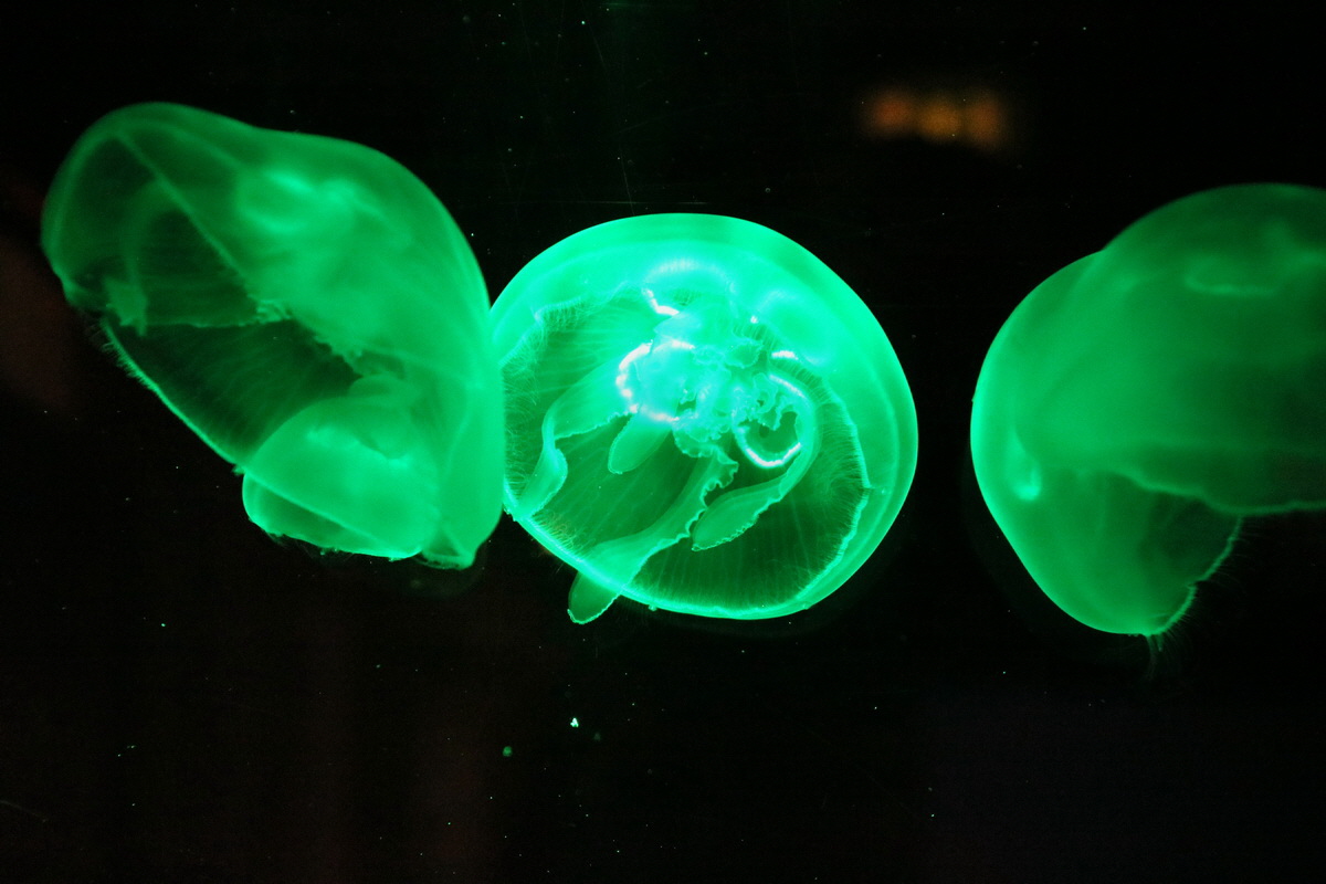 2015_09_12_015875p_Bildgr��e �ndern