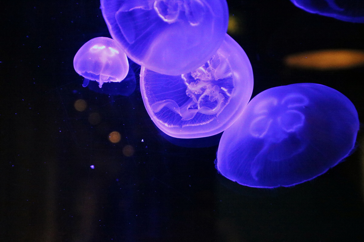 2015_09_12_015881p_Bildgr��e �ndern