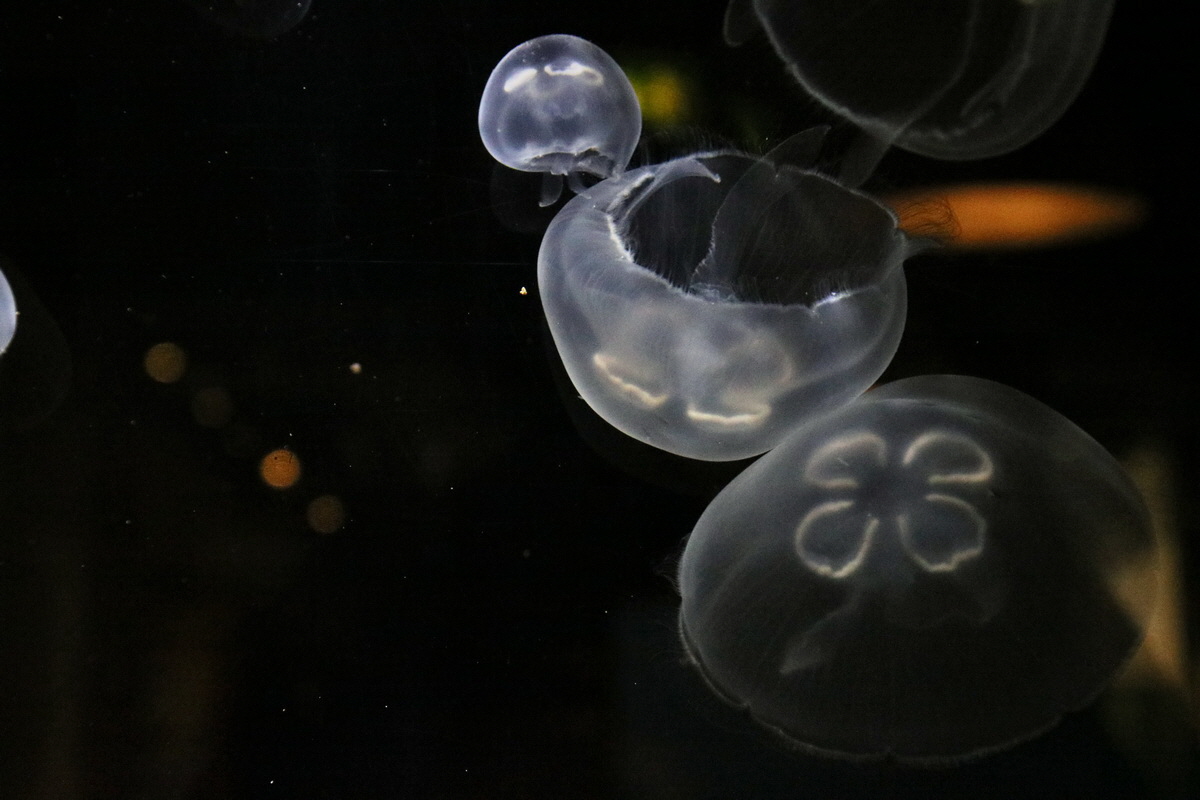 2015_09_12_015892p_Bildgr��e �ndern