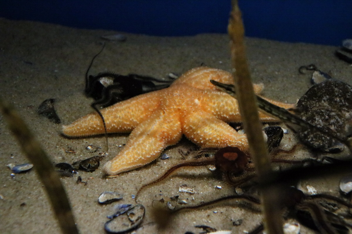 2015_09_12_015894p_Bildgr��e �ndern