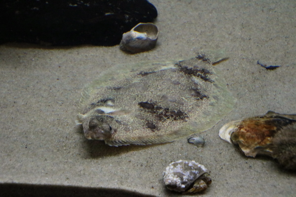 2015_09_12_015900p_Bildgr��e �ndern