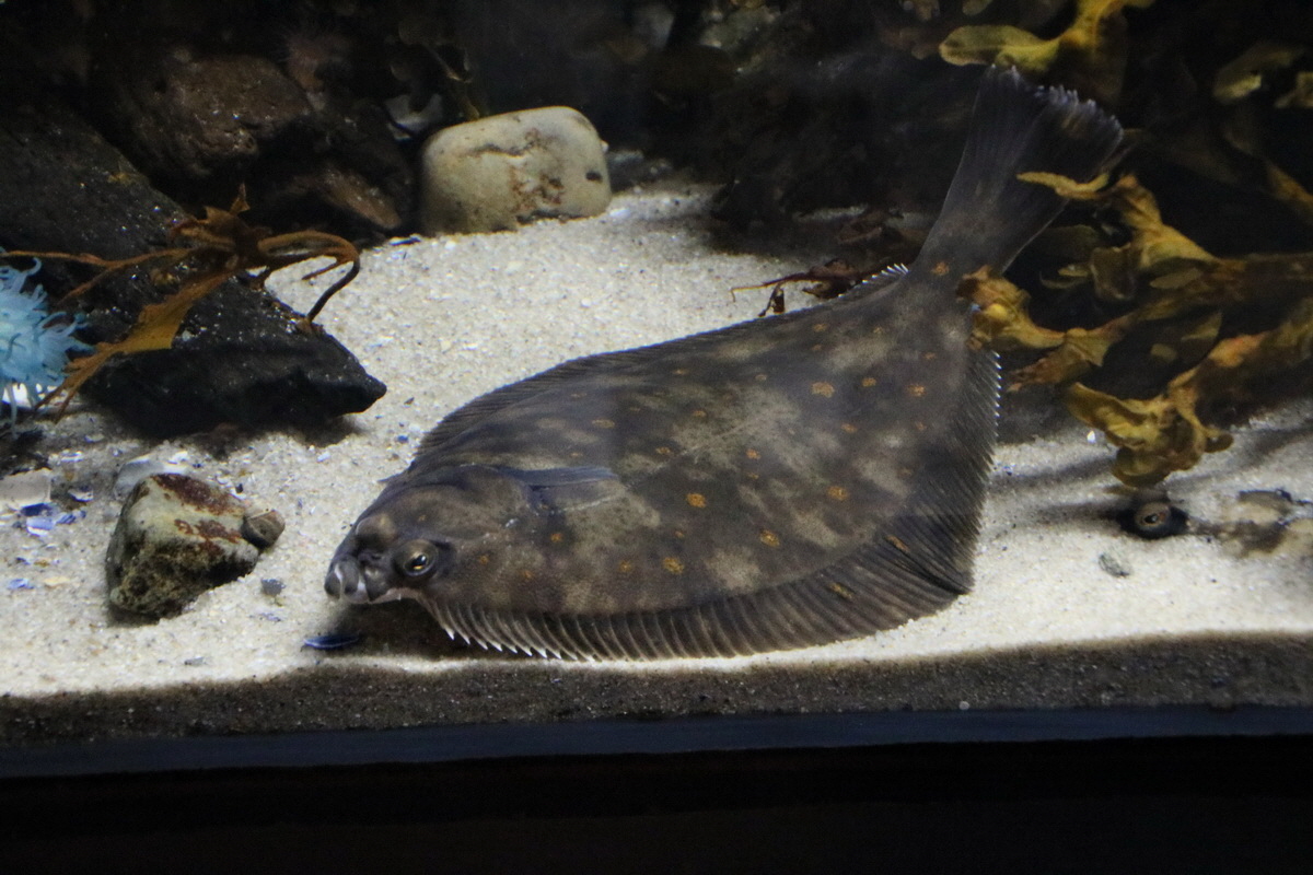 2015_09_12_015907p_Bildgr��e �ndern