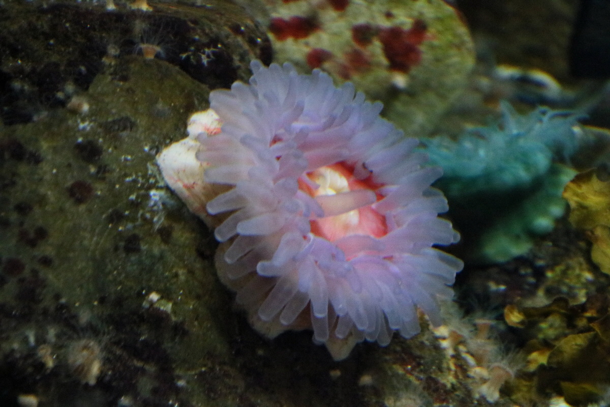 2015_09_12_015910p_Bildgr��e �ndern