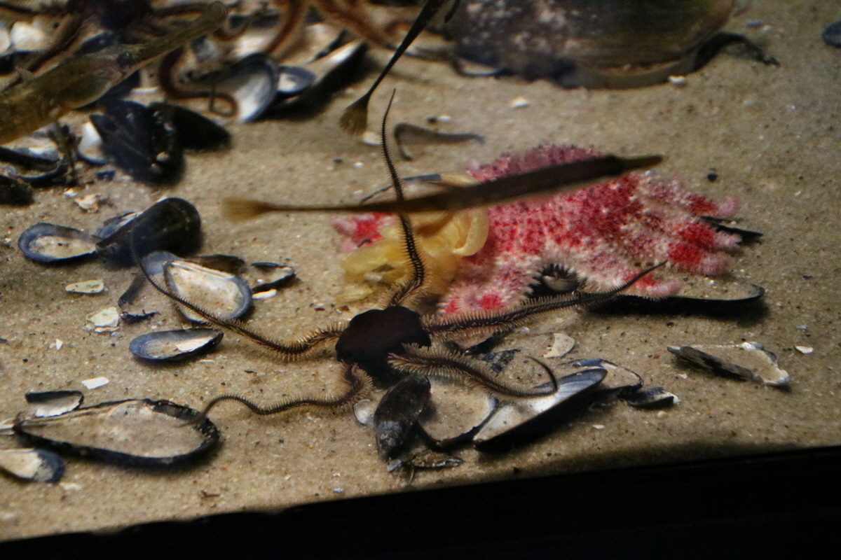 2015_09_12_015915p_Bildgr��e �ndern