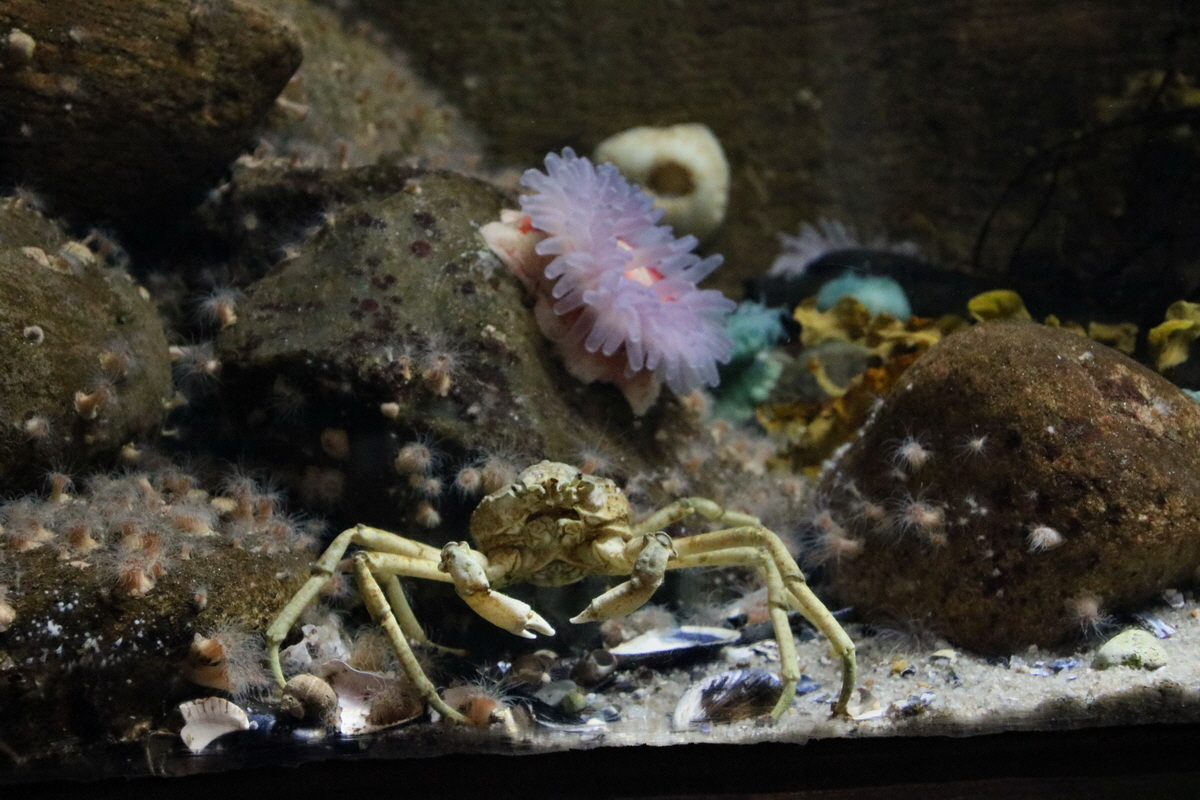 2015_09_12_015923p_Bildgr��e �ndern