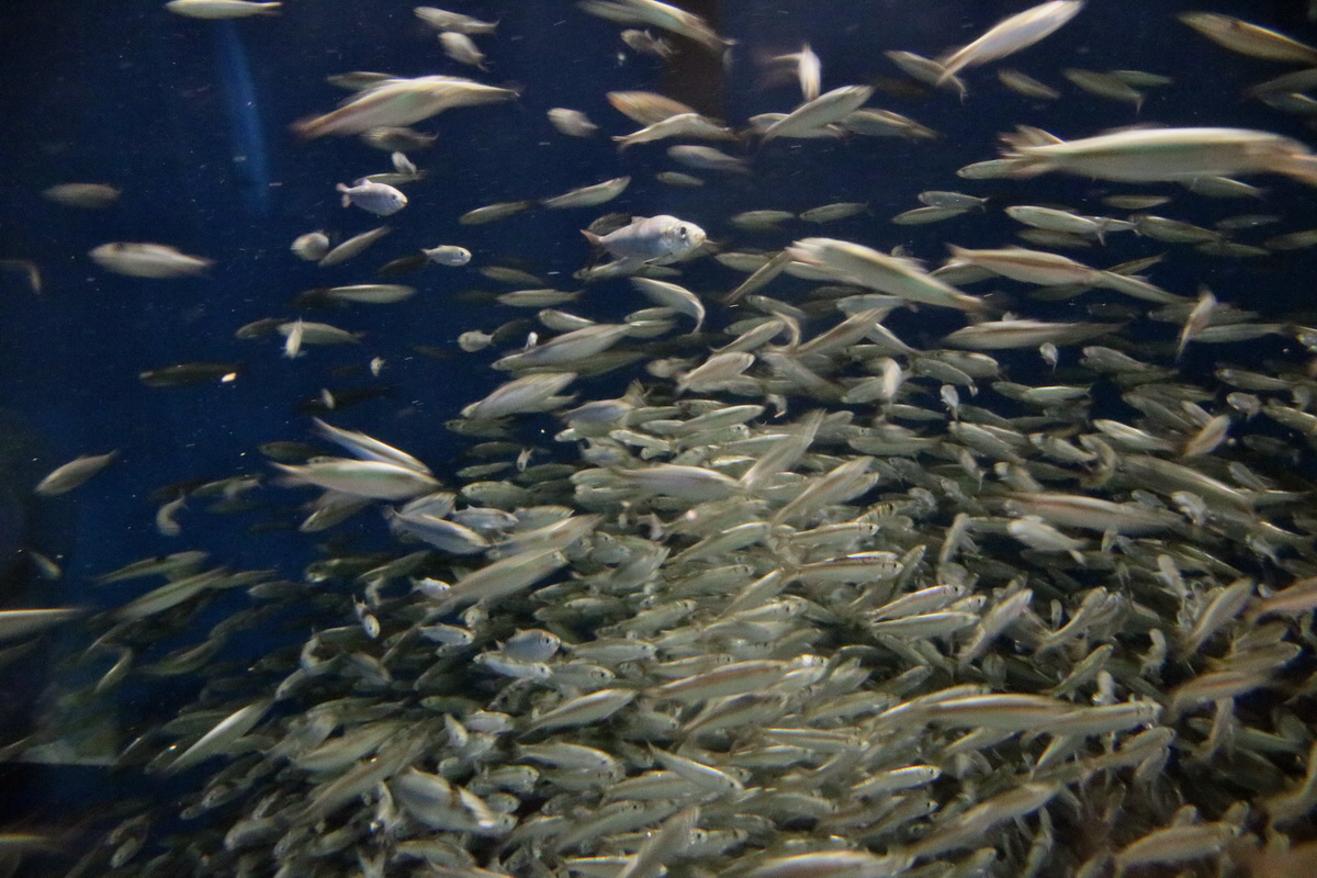 2015_09_12_015943p_Bildgr��e �ndern