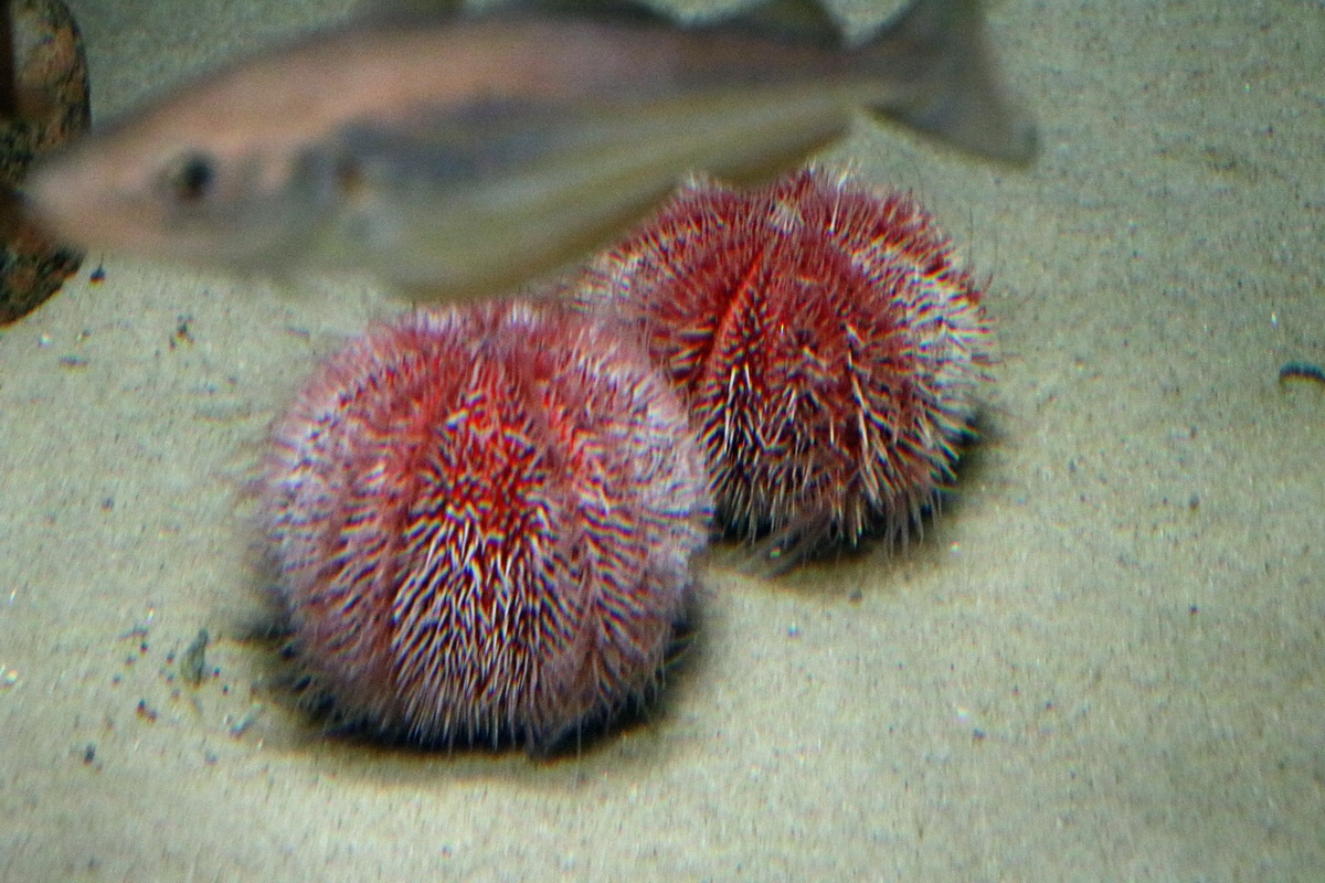 2015_09_12_015976p_Bildgr��e �ndern