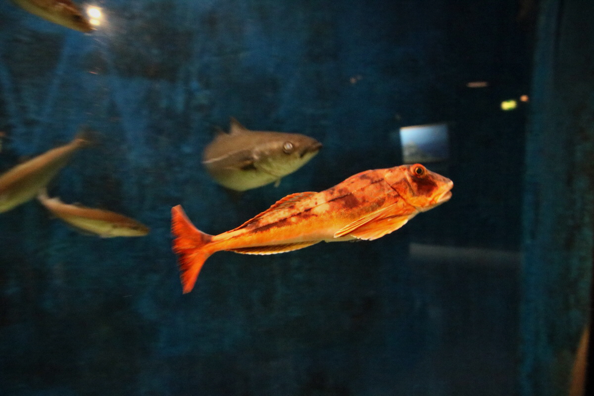 2015_09_12_015986p_Bildgr��e �ndern