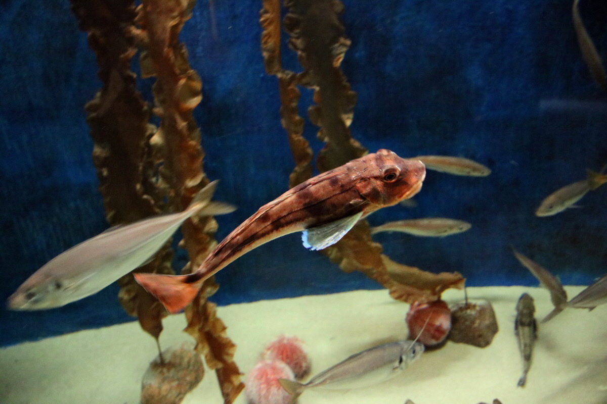 2015_09_12_015992p_Bildgr��e �ndern