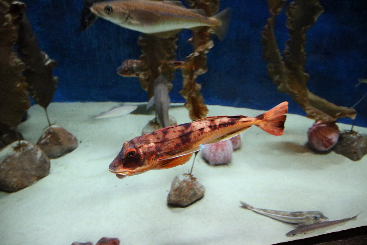 2015_09_12_016003p_Bildgr��e �ndern