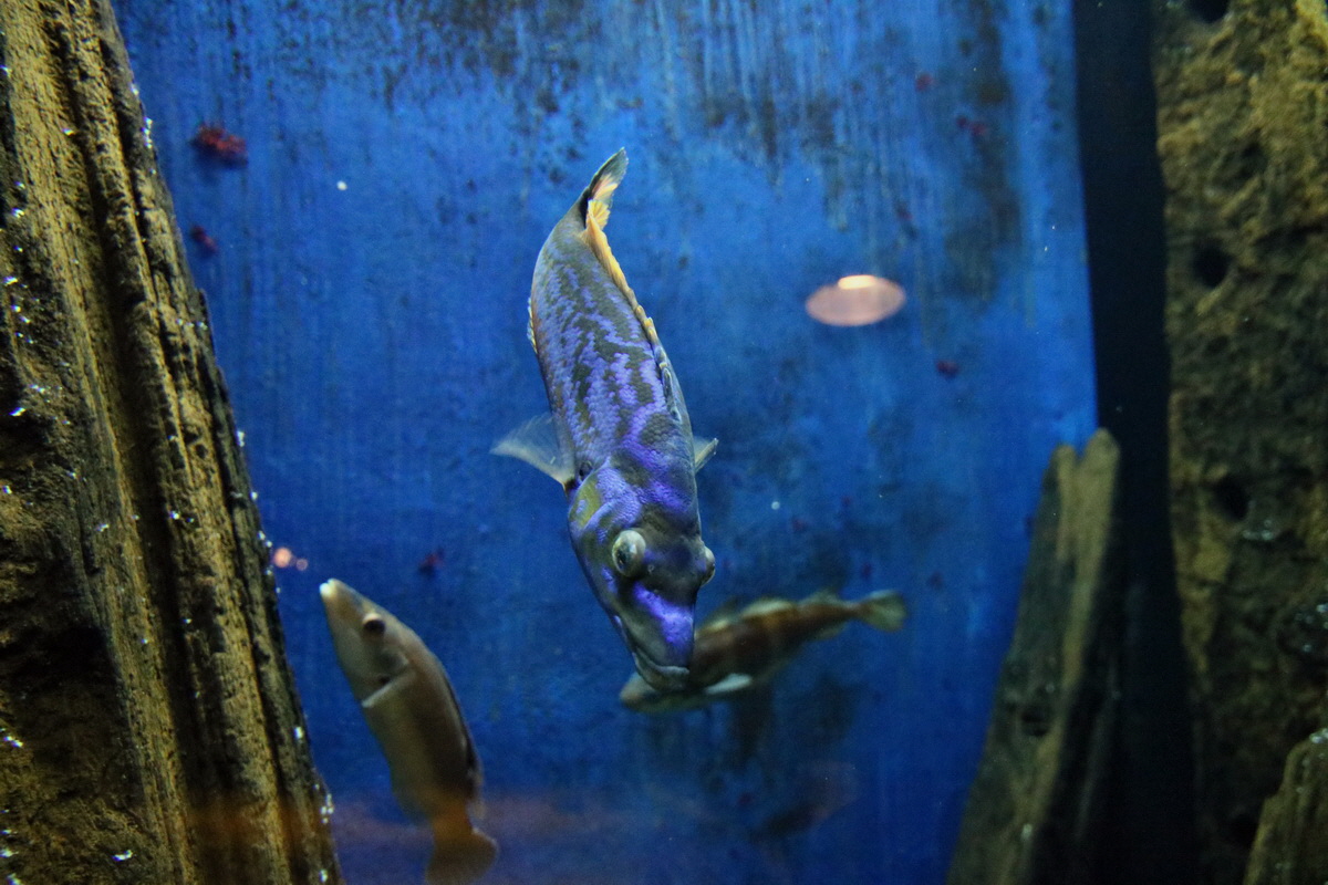 2015_09_12_016010p_Bildgr��e �ndern