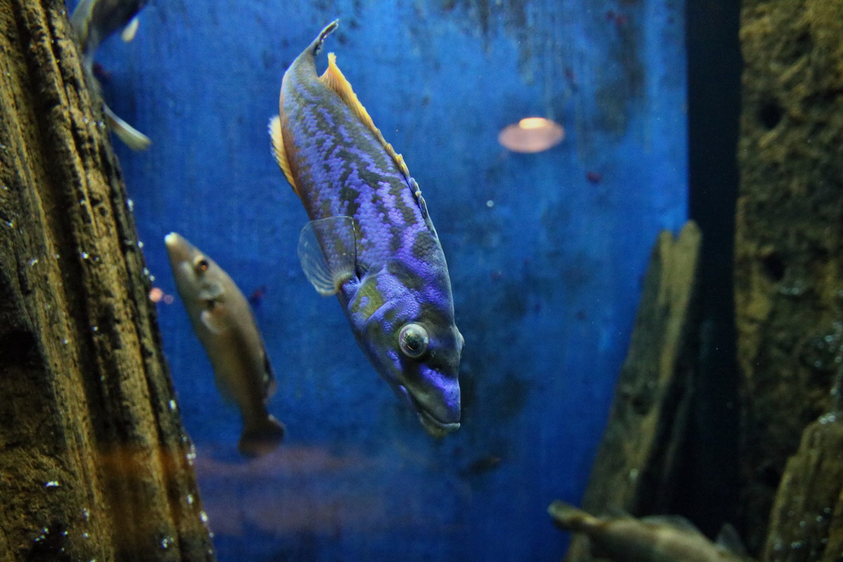 2015_09_12_016014p_Bildgr��e �ndern