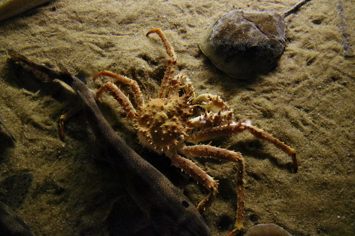 2015_09_12_016028p_Bildgr��e �ndern