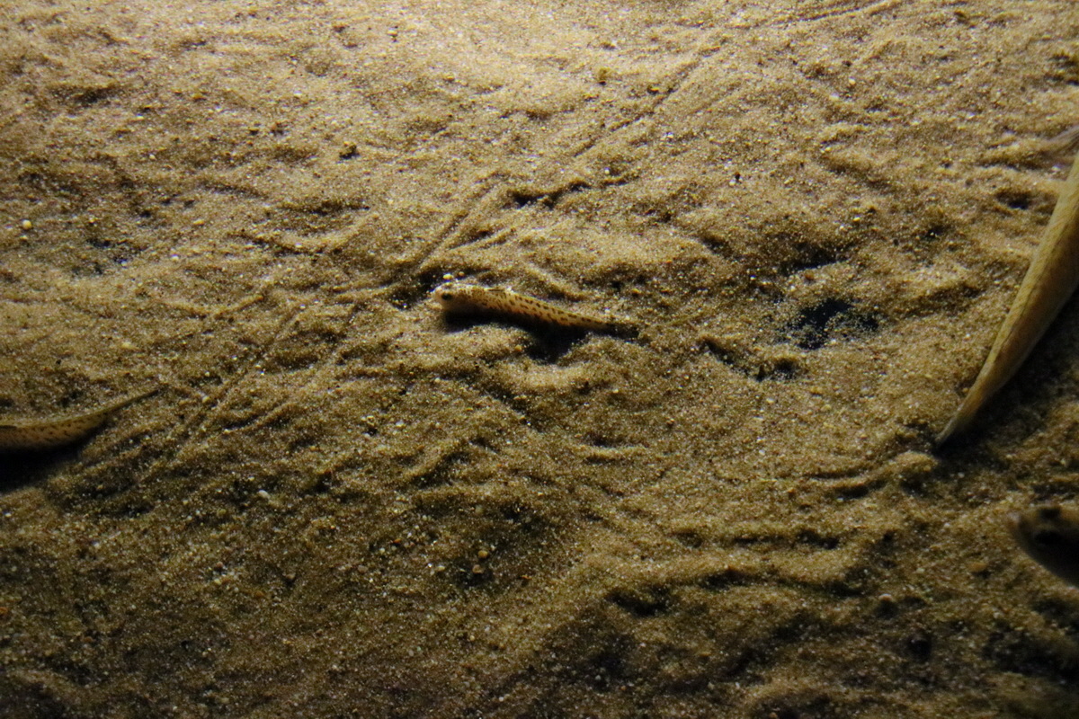 2015_09_12_016040p_Bildgr��e �ndern