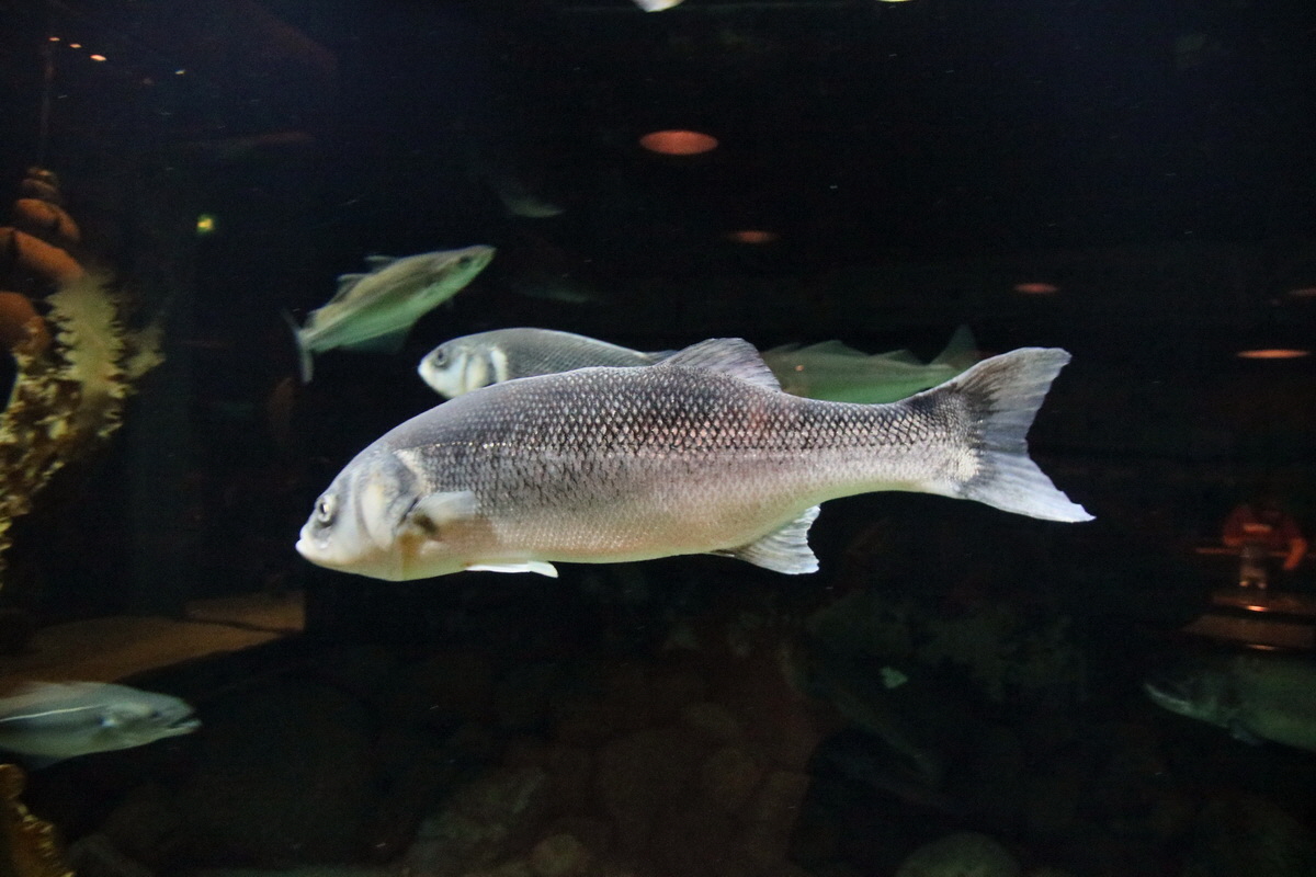 2015_09_12_016062p_Bildgr��e �ndern