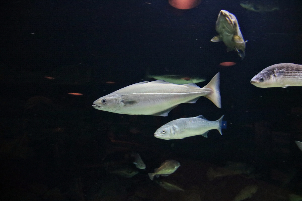 2015_09_12_016070p_Bildgr��e �ndern