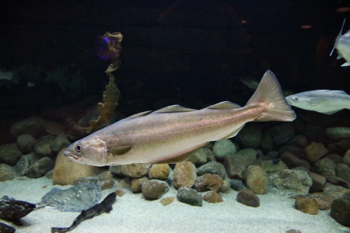 2015_09_12_016071p_Bildgr��e �ndern