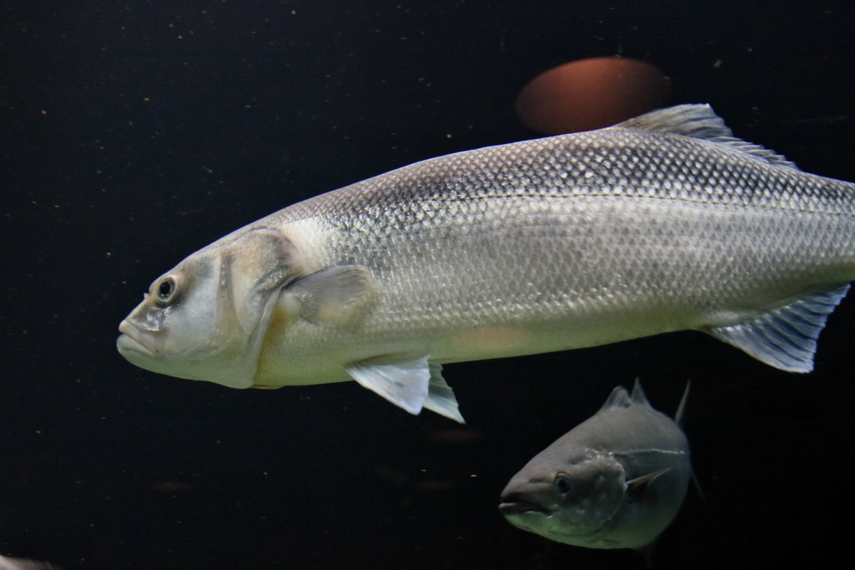 2015_09_12_016080p_Bildgr��e �ndern