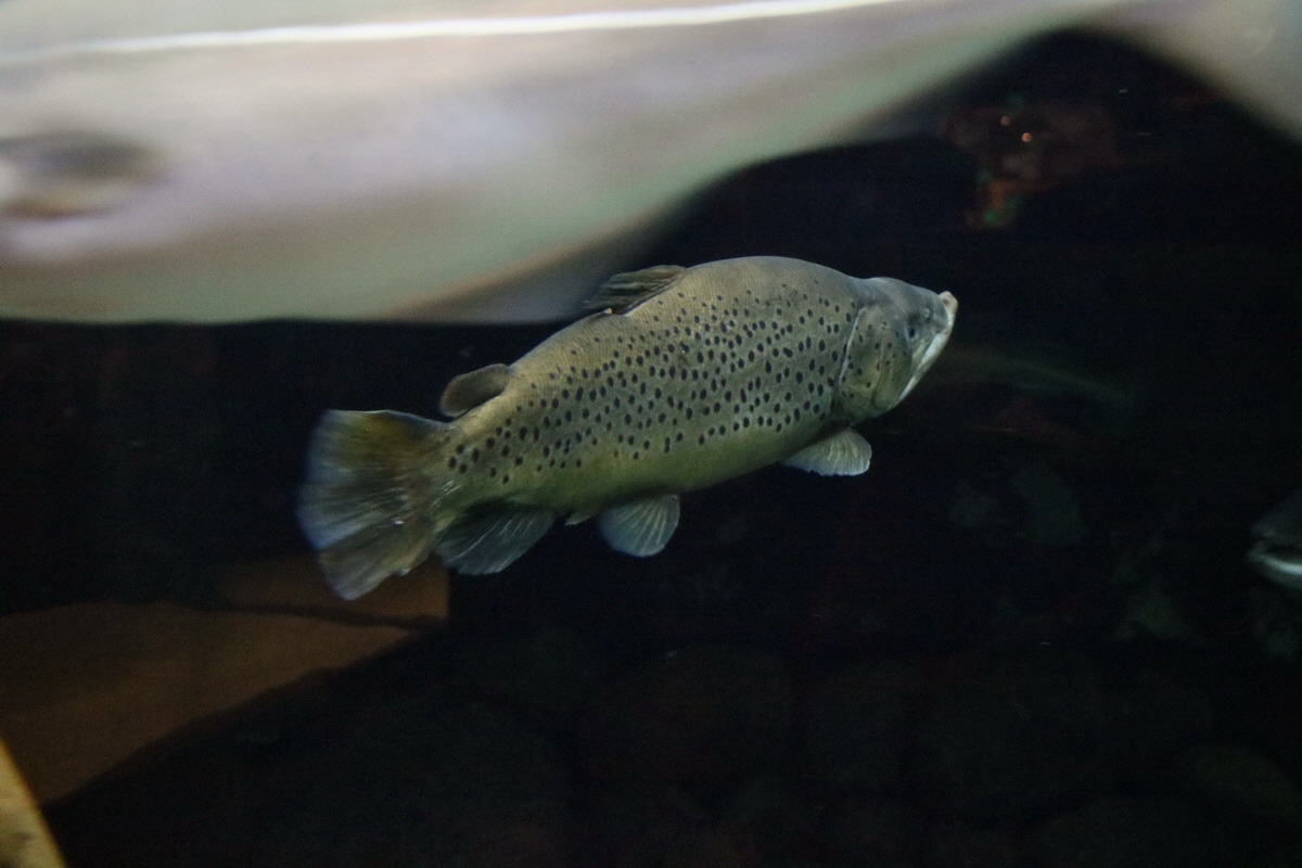 2015_09_12_016095p_Bildgr��e �ndern