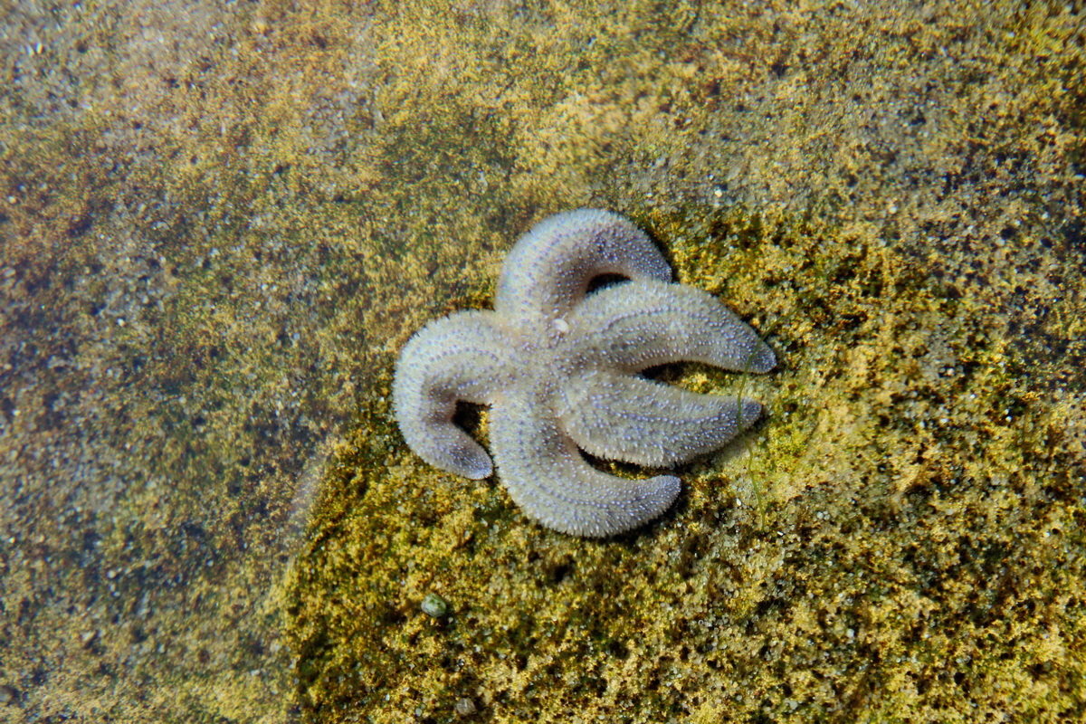 2015_09_12_016103p_Bildgr��e �ndern