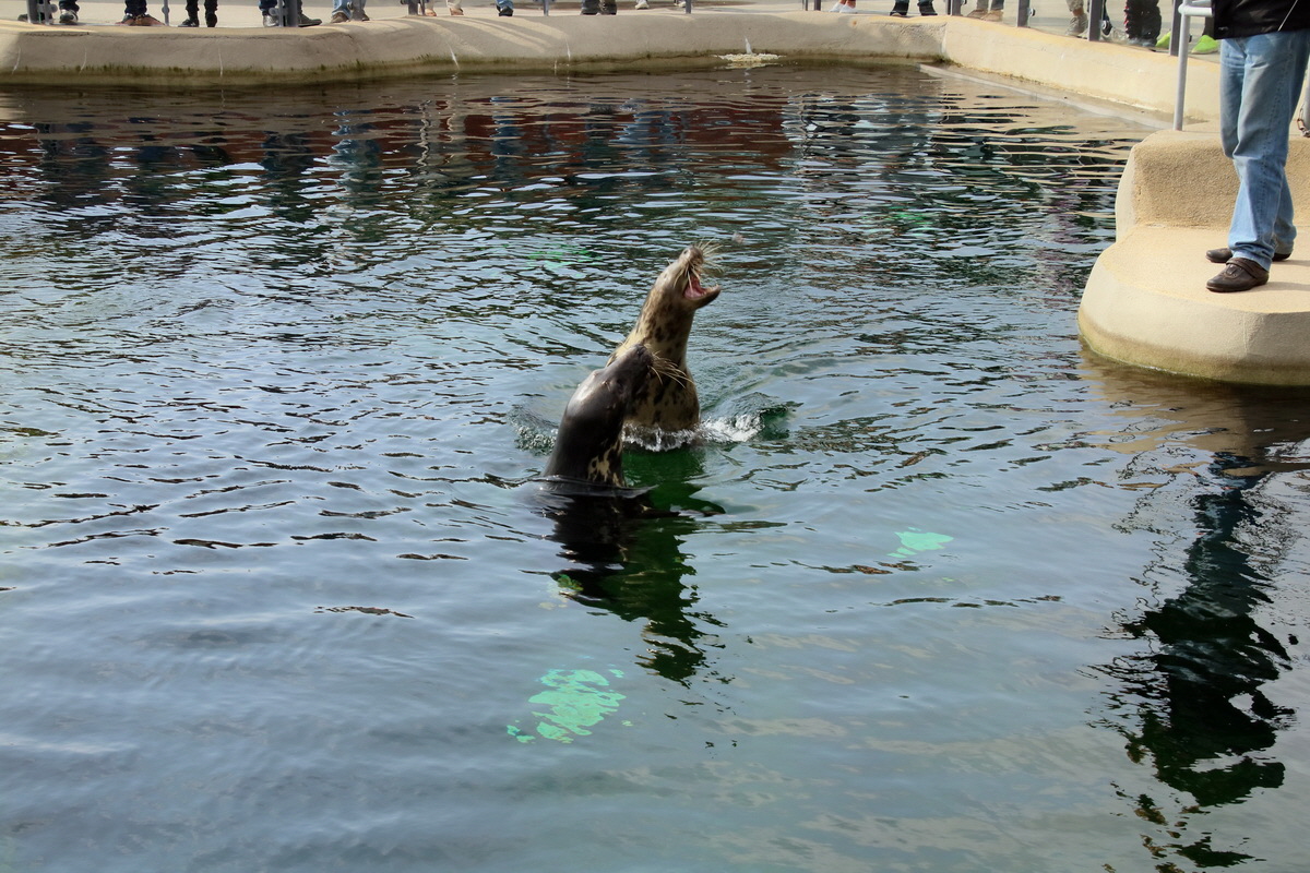 2015_09_12_016122p_Bildgr��e �ndern