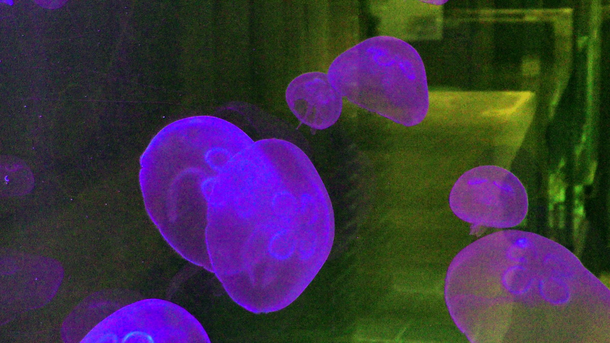 09-12-2015_144402p_Bildgr��e �ndern