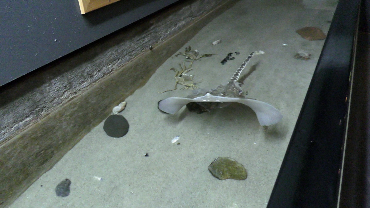 09-12-2015_144511(1)p_Bildgr��e �ndern