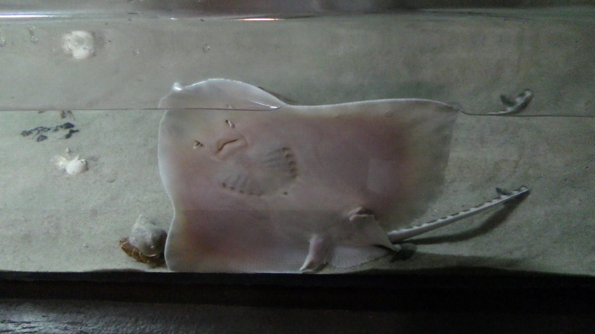 09-12-2015_144511p_Bildgr��e �ndern