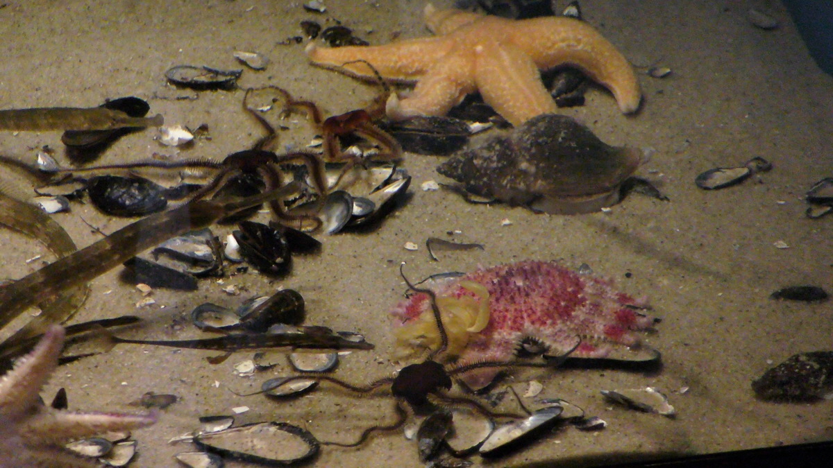 09-12-2015_144620p_Bildgr��e �ndern