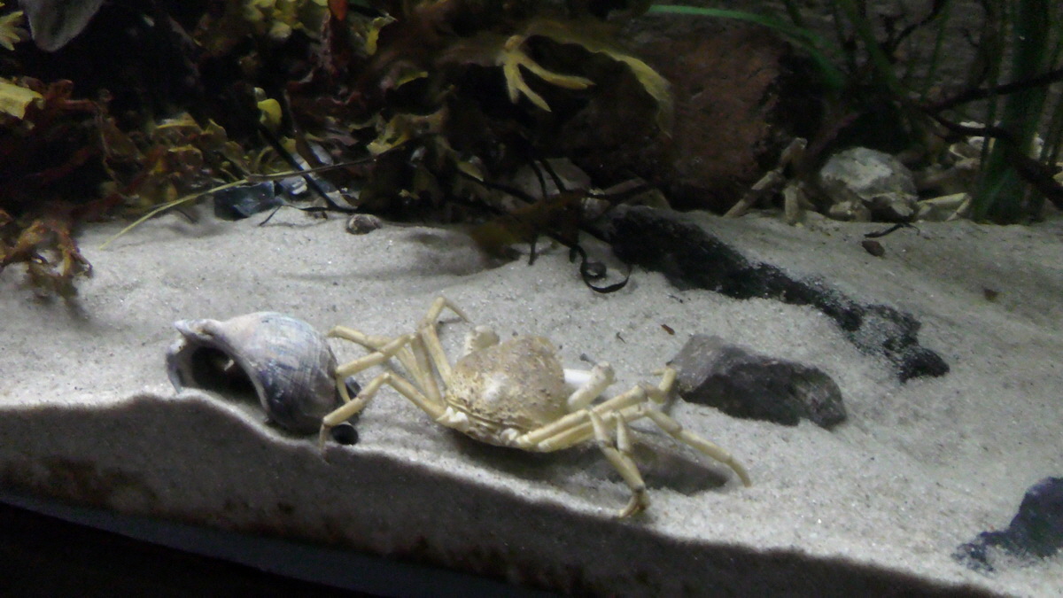 09-12-2015_144701(1)p_Bildgr��e �ndern