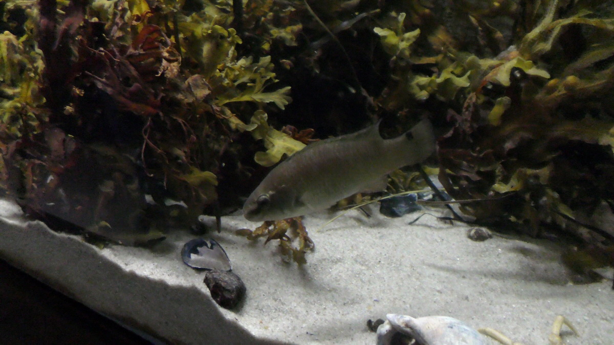 09-12-2015_144701(2)p_Bildgr��e �ndern