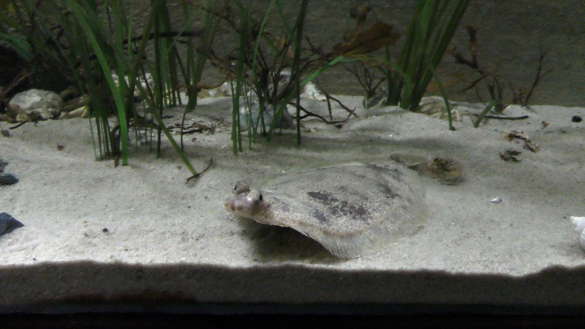 09-12-2015_144701p_Bildgr��e �ndern