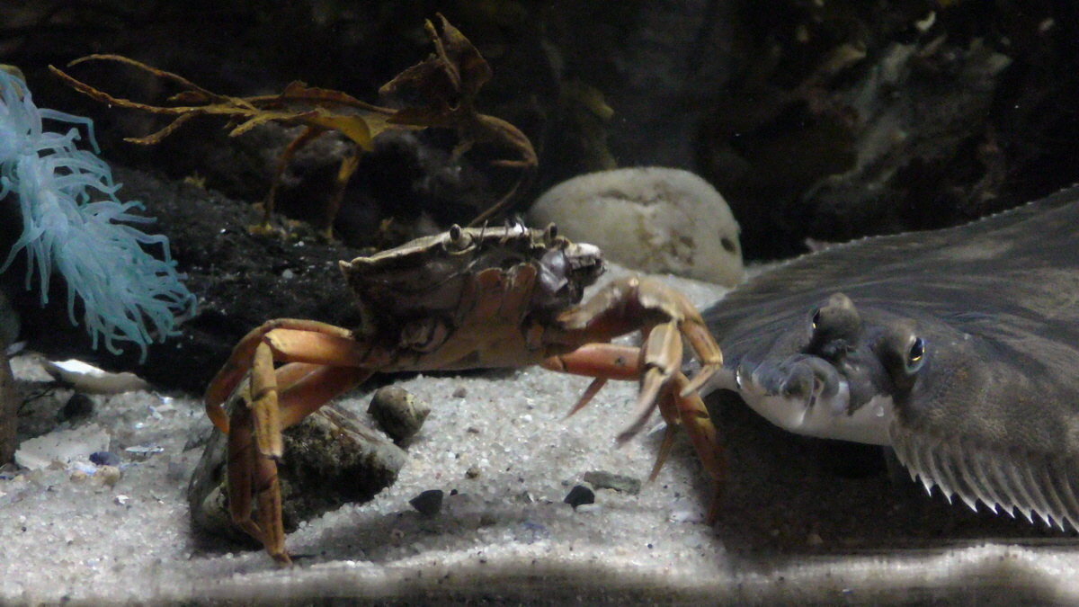 09-12-2015_144800(1)p_Bildgr��e �ndern