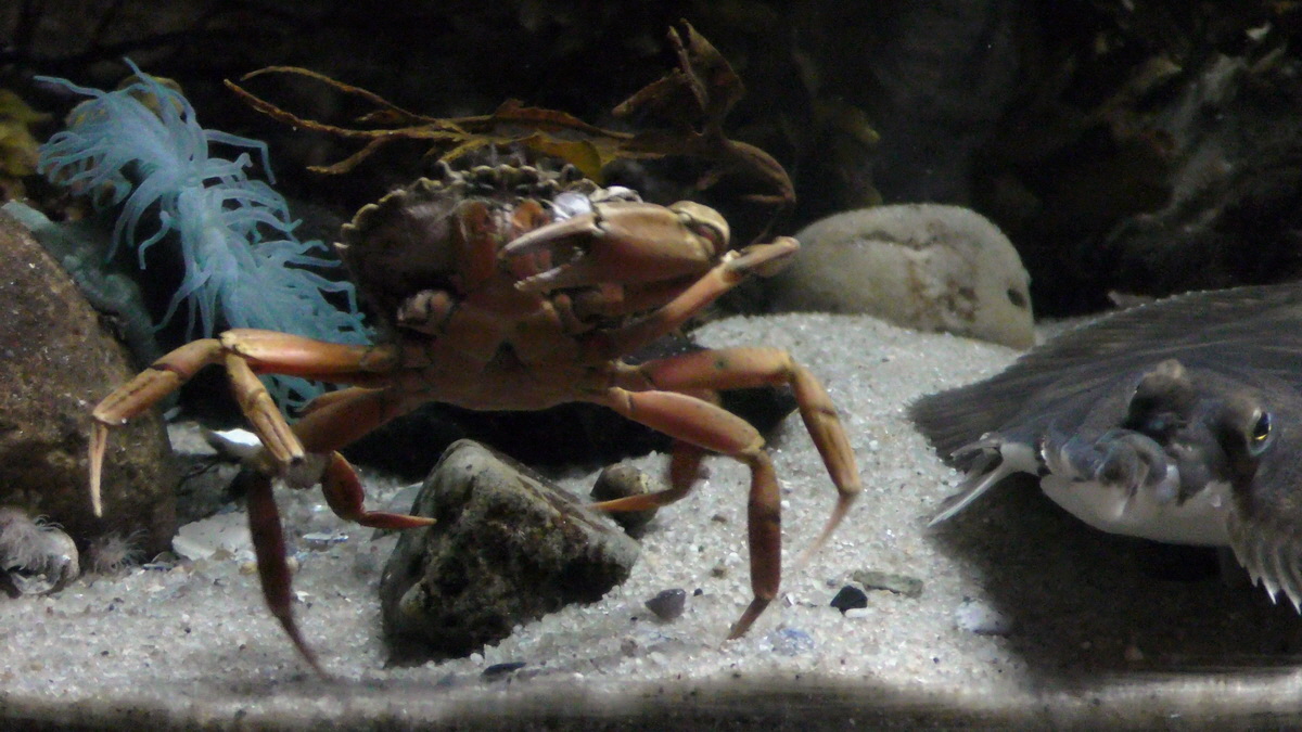 09-12-2015_144800(2)p_Bildgr��e �ndern