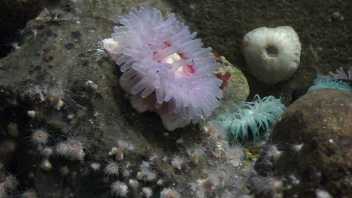 09-12-2015_144800(3)p_Bildgr��e �ndern